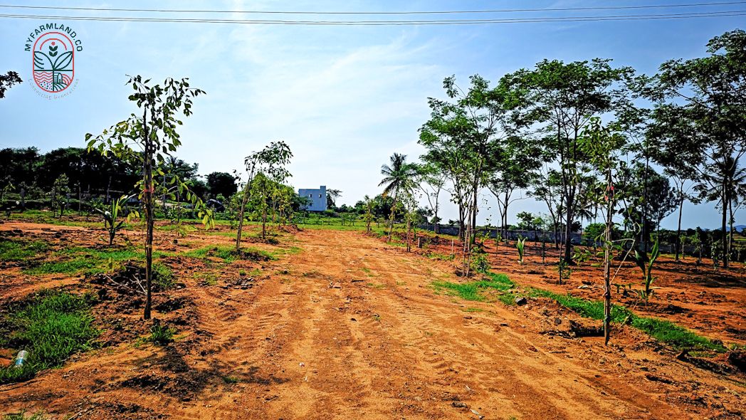Property media 4