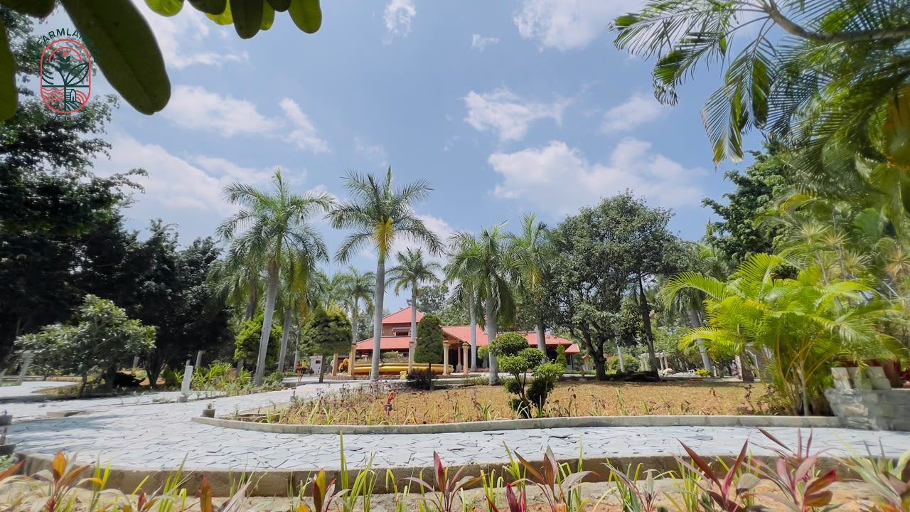 Property media 4